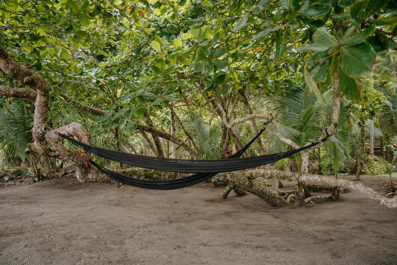 Dreamy Contentment Matapalo  Экстерьер фото