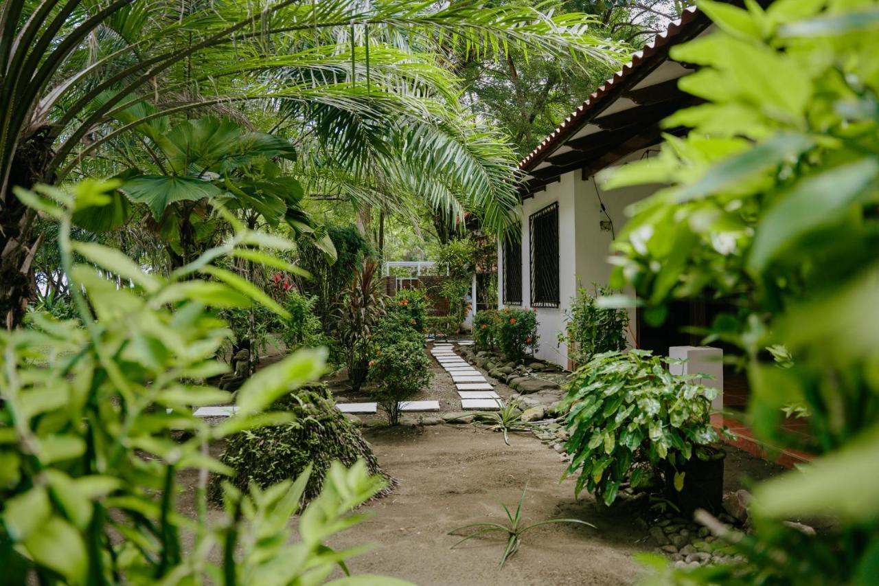 Dreamy Contentment Matapalo  Экстерьер фото